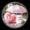 md.shihab.prodhan6