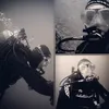 shark_011970