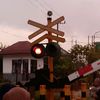 raden_0261