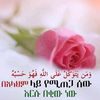 bint.adem1