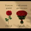 user2185123036038