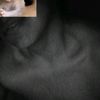 david_guerr1