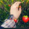 hebasaed862