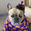 dottie_theodore