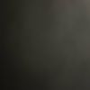 noam_marom1