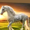 ismail.ismailov90