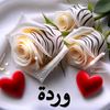 user4749632861900