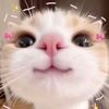 sarita__garzon
