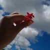 _nono220