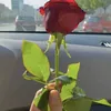 no_ny33