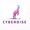 cyberdise.io