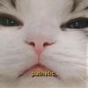 pussyw33dmoney