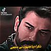 ali492339