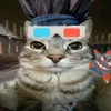 naracias_cat