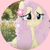 13ash_zahra13