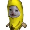 sianaaja0