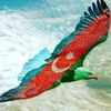 rauf.dayi