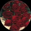 abo.ahmd29