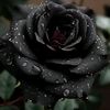 mueez.malik35