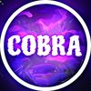 cobra_rt1