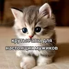 obrigashka_4