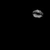 xoxo35731
