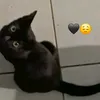 rachelsv.ll