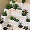alaa.gamal398
