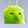 iudaigiacu_hjhj