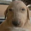 un_random_deporahi0