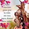 maria.flix080