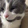 ruffmeowruffruff