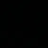 silvzx_5