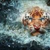 ivan.barrios781