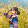 lleejmmuam
