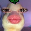 user_300608ha