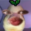 emlaaizi