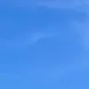 iiisky1