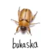 bucaska_off