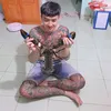 lambenbinhduong