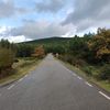 tiktoknp06