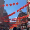pov.lhynne