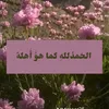 user9266233631515