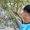 vn.cnh109
