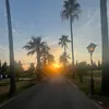 sabrinatony_