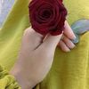 yqp_lq