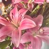 sun_flawers23