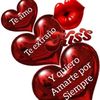janethrosales932