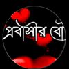 saifat.hossan