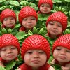 thyeyoly
